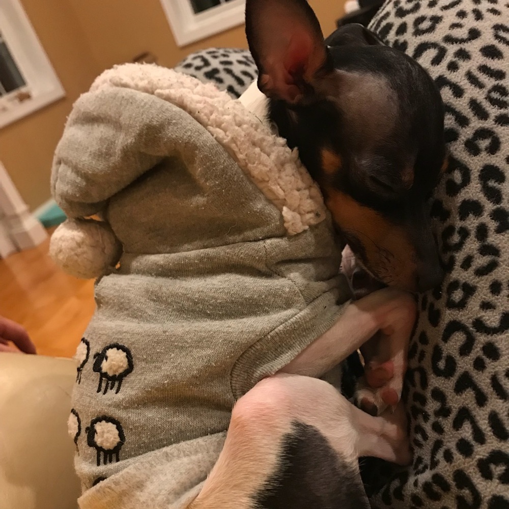 Meet your Posher, Sarah